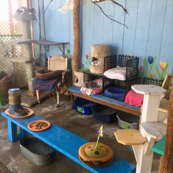 Meet your Posher, 4 Paws - Picture 5 of 8